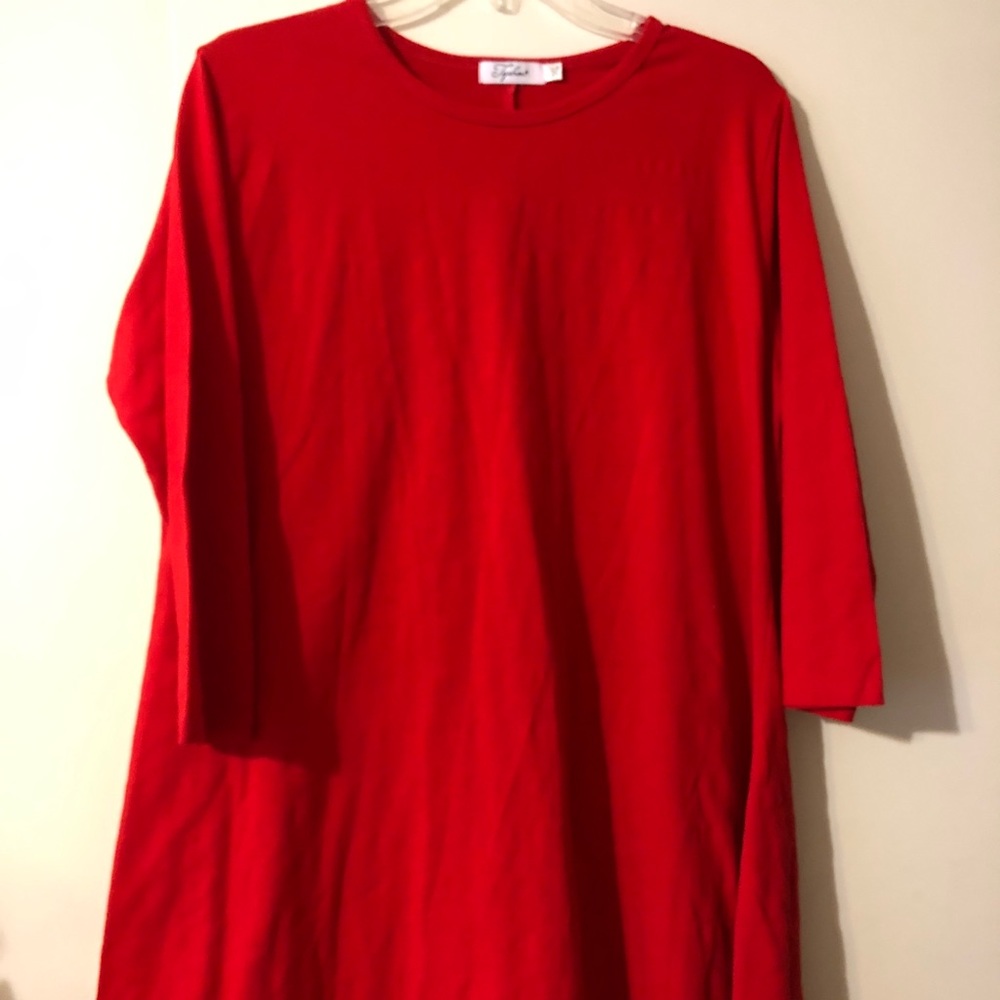 Red Tunic Top